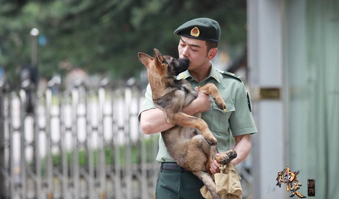 《神犬奇兵》