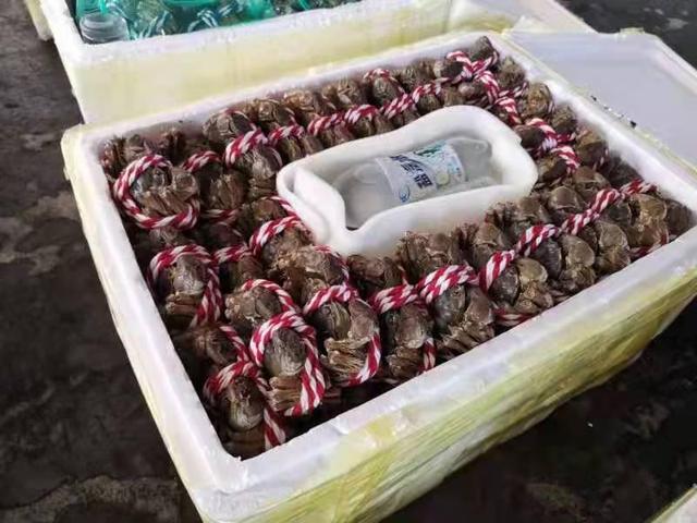 (总台记者 郑澍 赵菁 张毓琪)