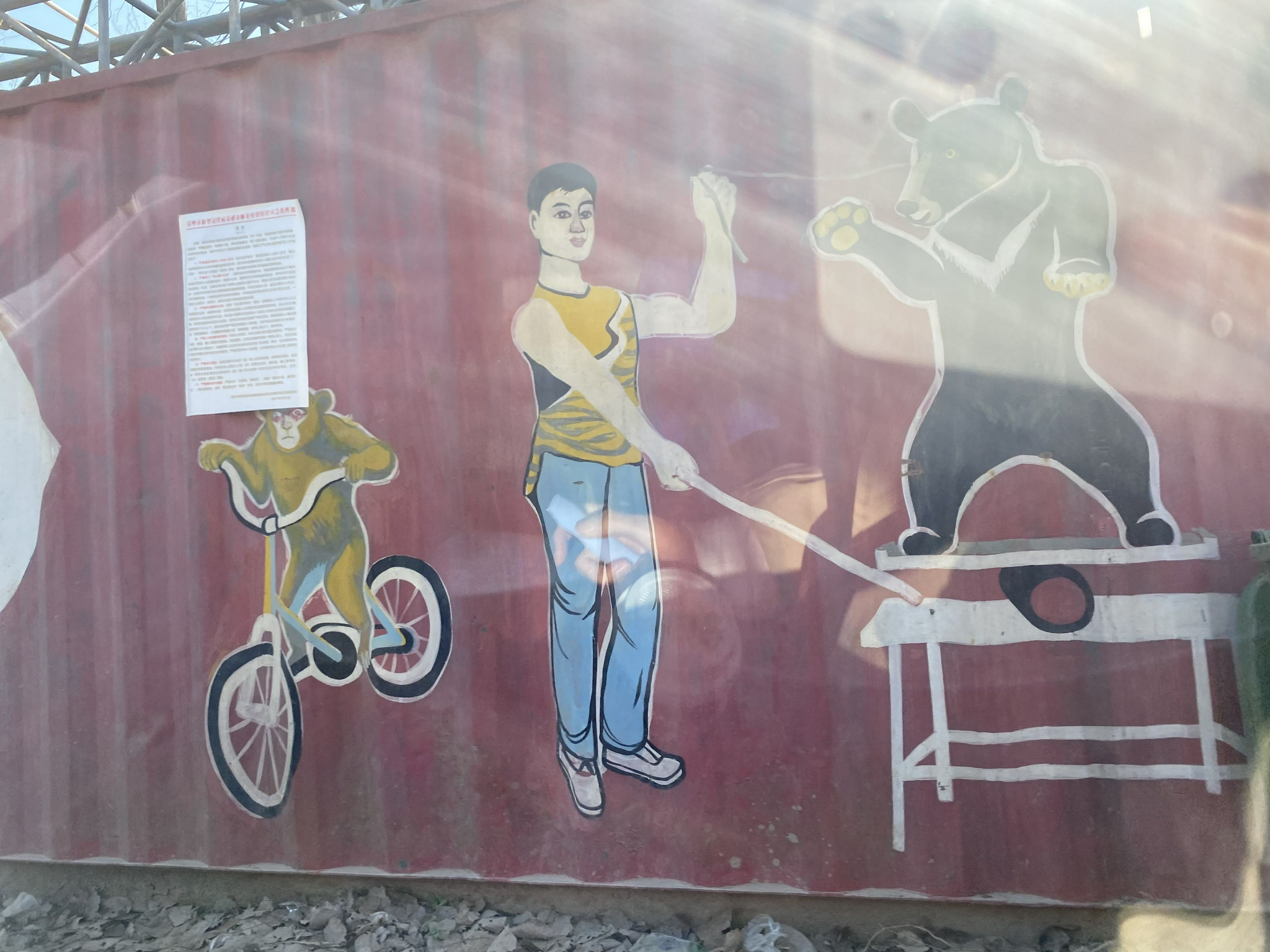 虎落马戏之乡养不起扔不掉死不起