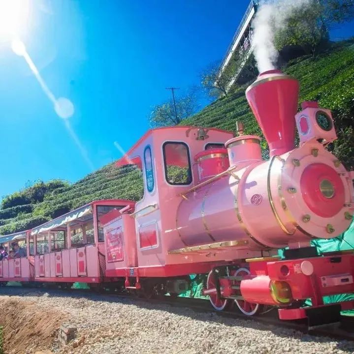 阿里山_阿里山最新消息,新闻,图片,视频_聚合阅读_新浪网