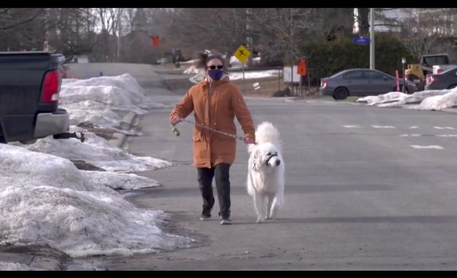 主人失去意识倒在路边,狗狗舍命用身体挡住货车,牺牲自己也值得休闲区蓝鸢梦想 - Www.slyday.coM 主人失去意识倒在路边,狗狗舍命用身体挡住货车,牺牲自己也值得休闲区蓝鸢梦想 - Www.slyday.coM