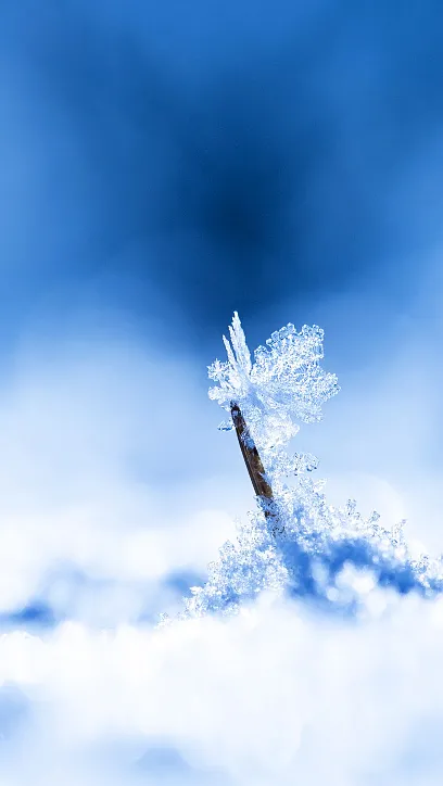 壁纸集落雪为念岁月成诗