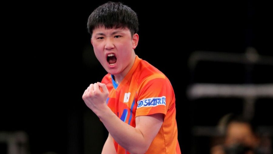 WTT世界杯男单决赛对阵出炉,樊振东和张本智和争夺冠军!休闲区蓝鸢梦想 - Www.slyday.coM