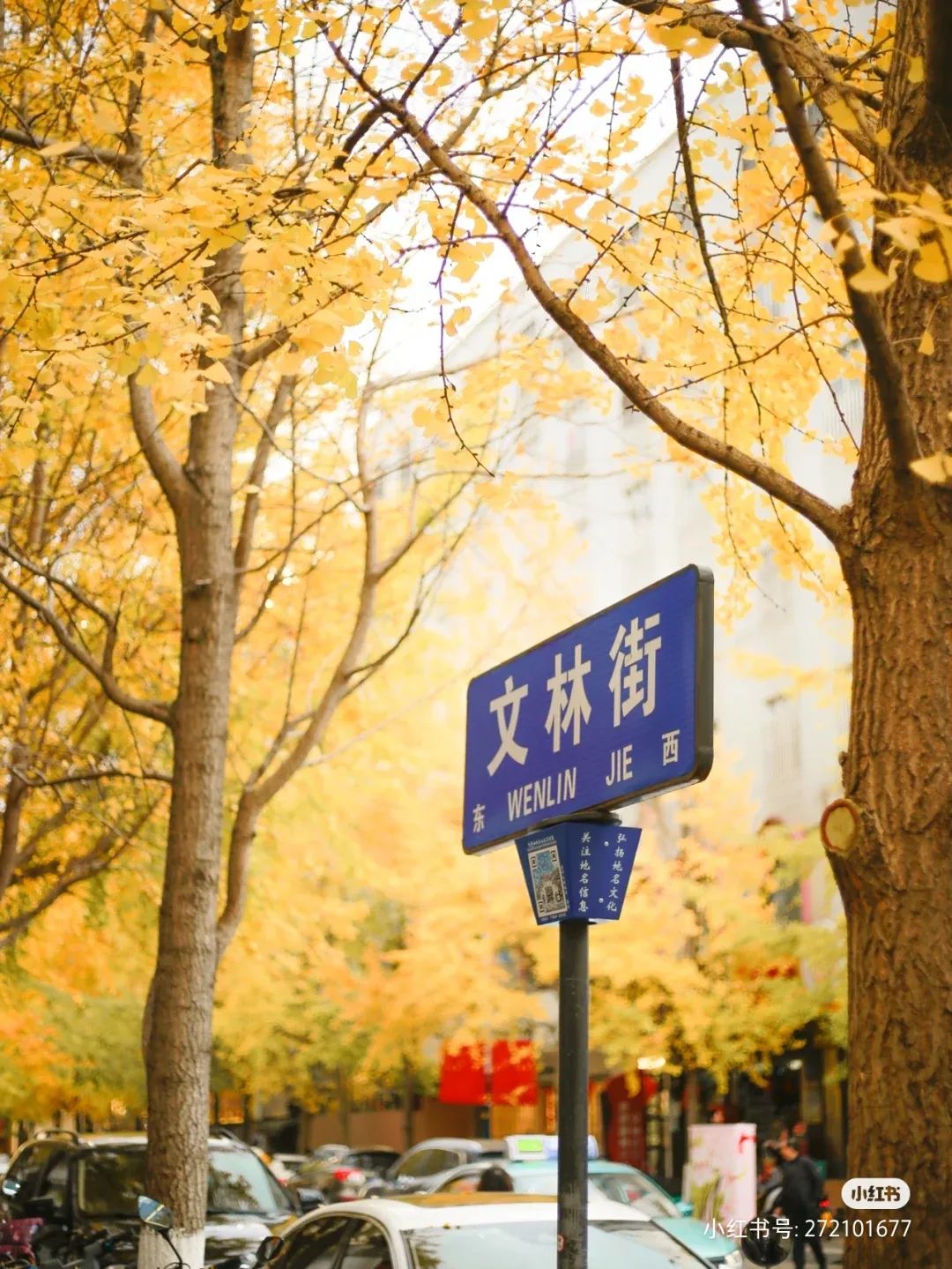 昆明的浪漫都留给了文林街