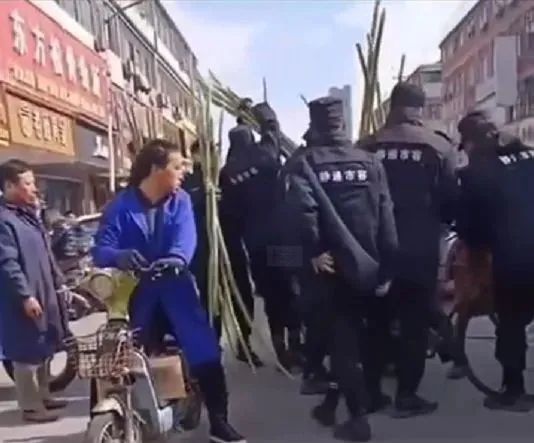 粗暴对待卖甘蔗老人，为何惹了众怒？休闲区蓝鸢梦想 - Www.slyday.coM