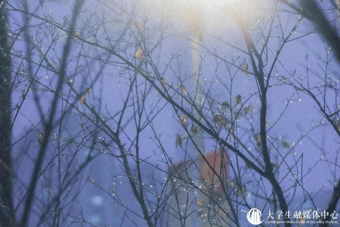 梦回八月十六，雪落无声，一场关于时间错位的梦境解析