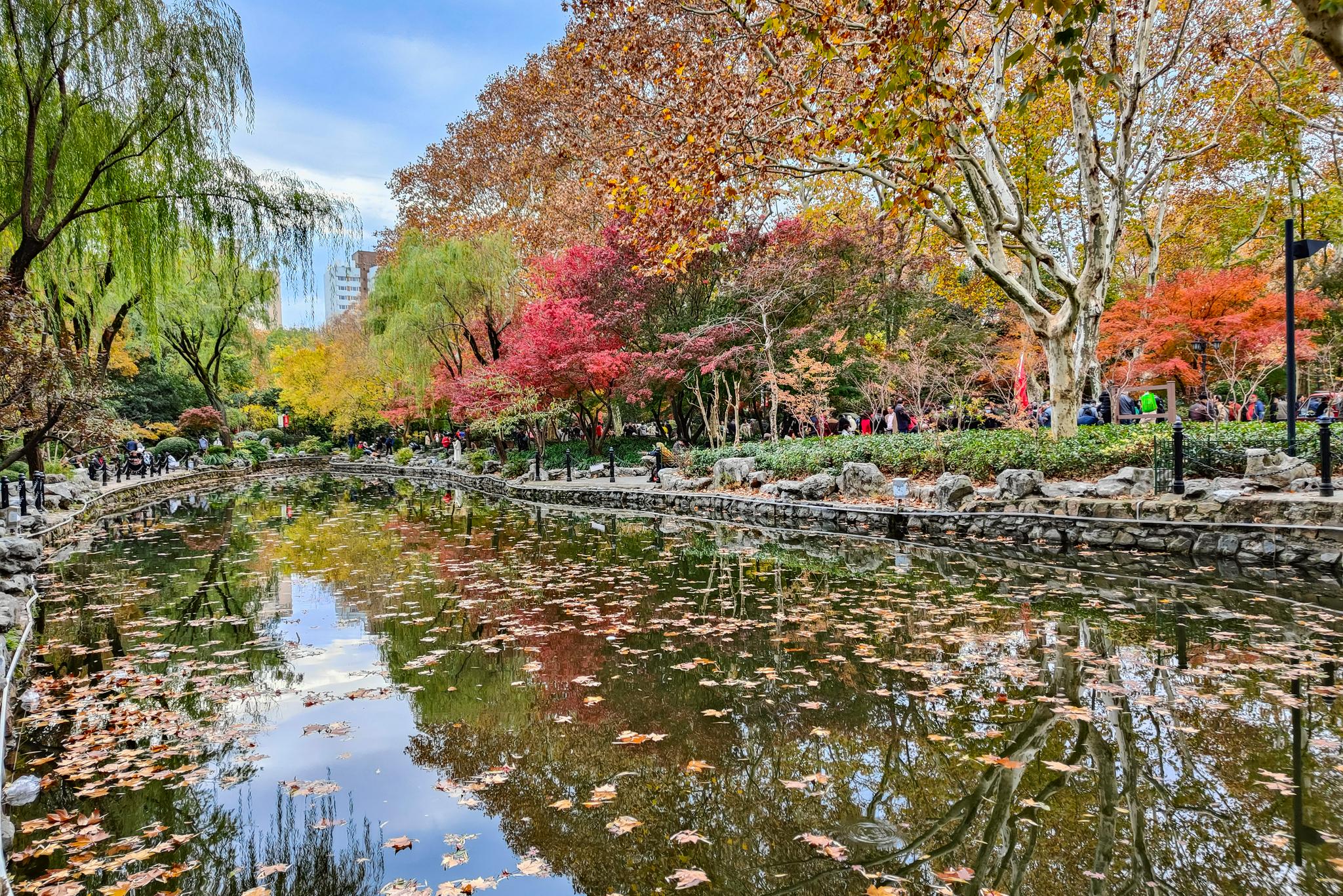 鲁迅公园色彩斑斓,如同打翻了调色盘 图 视觉中国