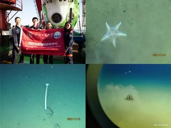 宁波病例确诊前曾来沪出差，更多轨迹细节披露！大雪节气冷空气卡点报到，意思意思只降2℃休闲区蓝鸢梦想 - Www.slyday.coM