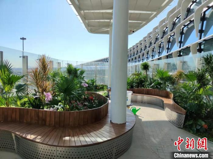 深圳宝安机场卫星厅设立室外观景平台 中建八局 供图
