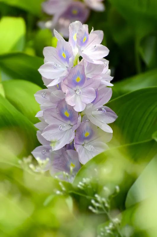 自然休闲区蓝鸢梦想 - Www.slyday.coM