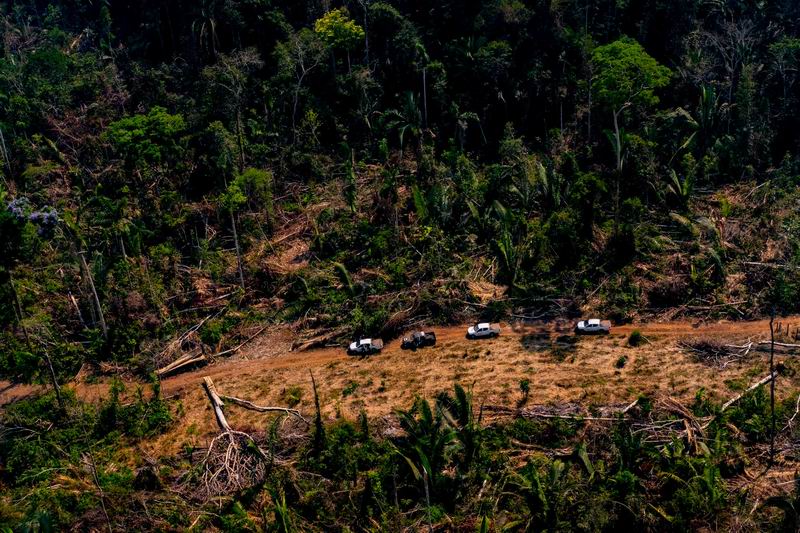 亚马孙雨林的大片森林被砍伐