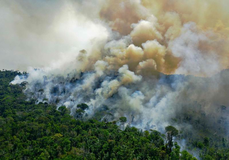 2020年8月16日，巴西帕拉州新普雷索以南的亚马孙雨林保护区火灾持续，浓烟滚滚。
