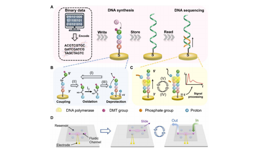 电化学是什么 电化学电池和液态电池有什么区别