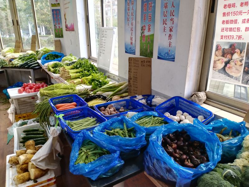 "微型菜场"里的菜摊. 本文图片均为&nbsp;龙钢&nbsp;摄