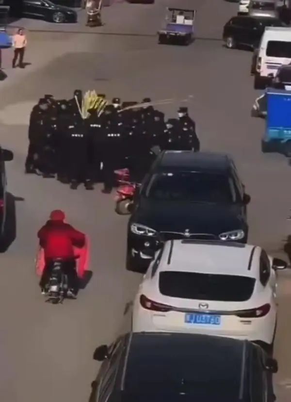 黑衣人“抢甘蔗”事件：执法不能外包休闲区蓝鸢梦想 - Www.slyday.coM