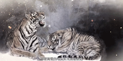 ▲如同丝绣发编，“丝毛”不落笔痕，突破了程式化的俗套。