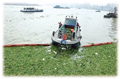 自然休闲区蓝鸢梦想 - Www.slyday.coM