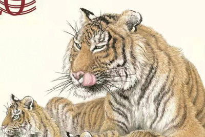 ▲因为是采用工笔绘制，加之采用胶雕套印印制，其最终成品的毛发感，会很明显。