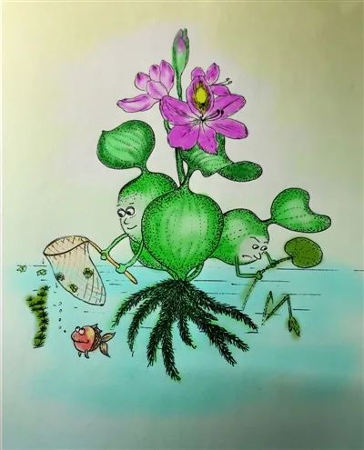 自然休闲区蓝鸢梦想 - Www.slyday.coM