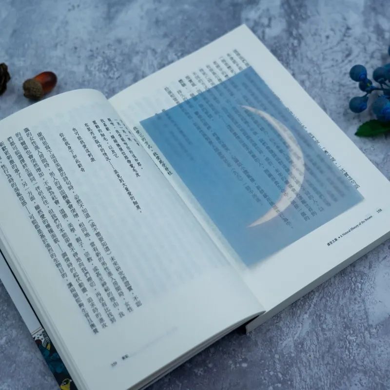 90后小伙靠“卖云”年入百万，一年寄出20w朵治愈4w人！休闲区蓝鸢梦想 - Www.slyday.coM