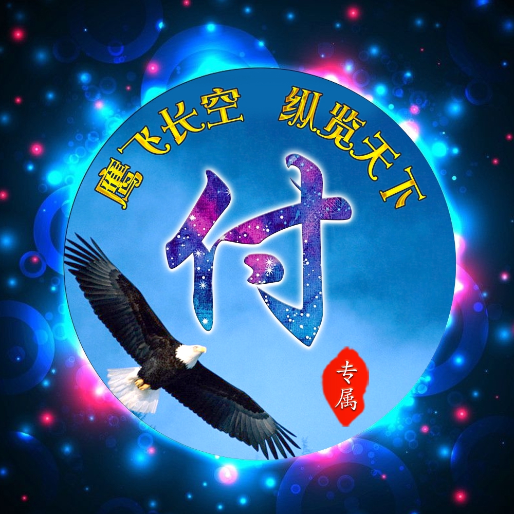 雄鹰展翅23张姓氏头像自由飞翔霸气十足展现中国力量