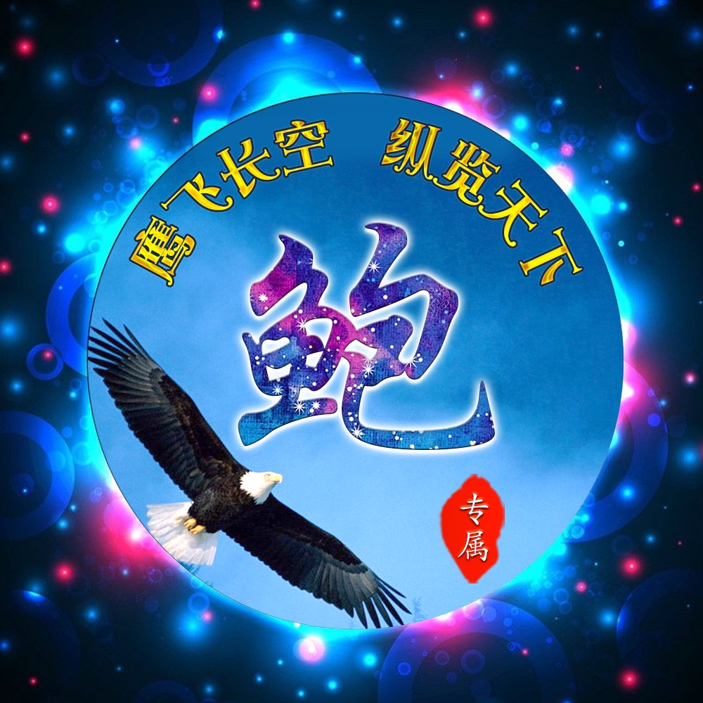 雄鹰展翅23张姓氏头像自由飞翔霸气十足展现中国力量