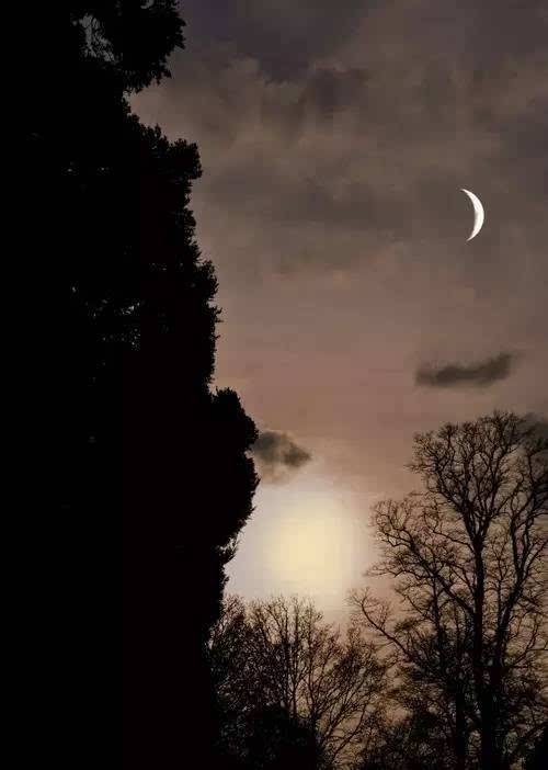 今宵酒醒何处?杨柳岸,晓风残月