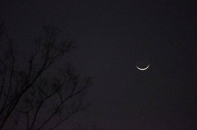 今宵酒醒何处杨柳岸晓风残月