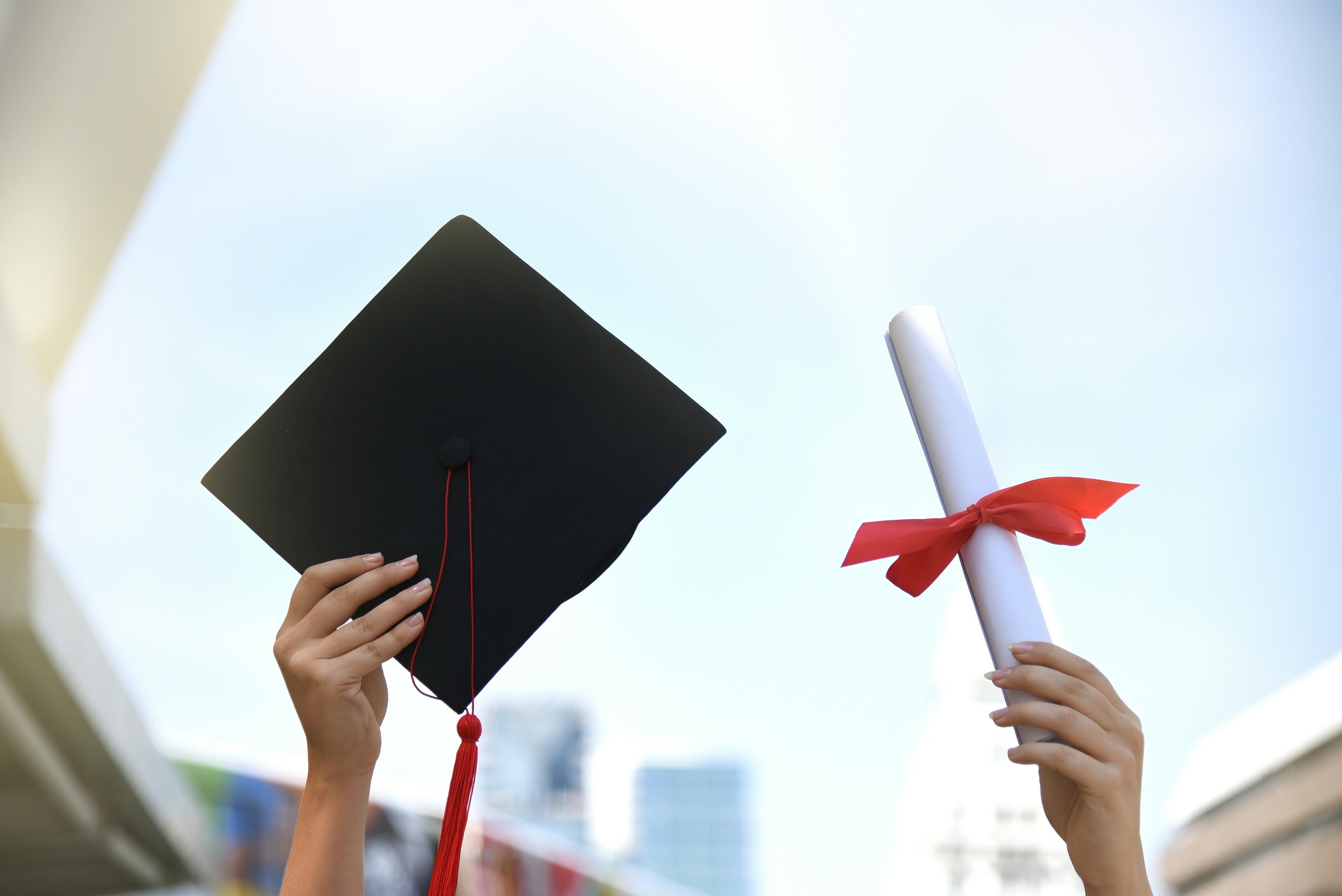 国务院学位办：职业本科学位证书和普通本科在就业考研考公等方面效力相同|学士|研究生考试|职业教育|层次|职业学校_新浪新闻