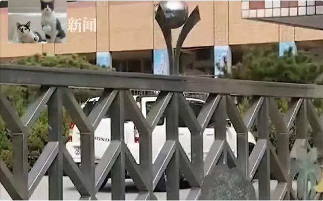 女中学生带防狼喷雾上学，男同学贪玩误伤11人，学校处理引热议：女生负责？休闲区蓝鸢梦想 - Www.slyday.coM