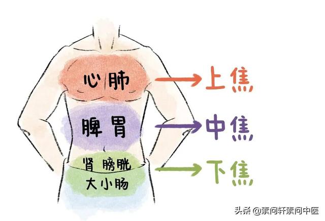三焦调畅我们人体气机其次它可以通调水道调节津液代谢让水液在正常