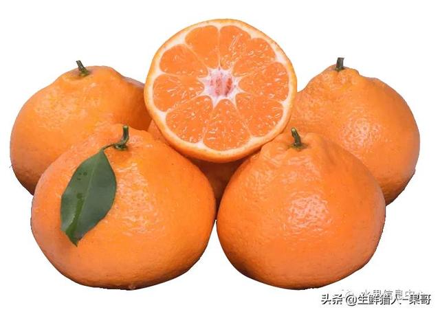 青见和春见哪个甜度高一点啊(青见和春见哪个甜度高一点啊知乎)