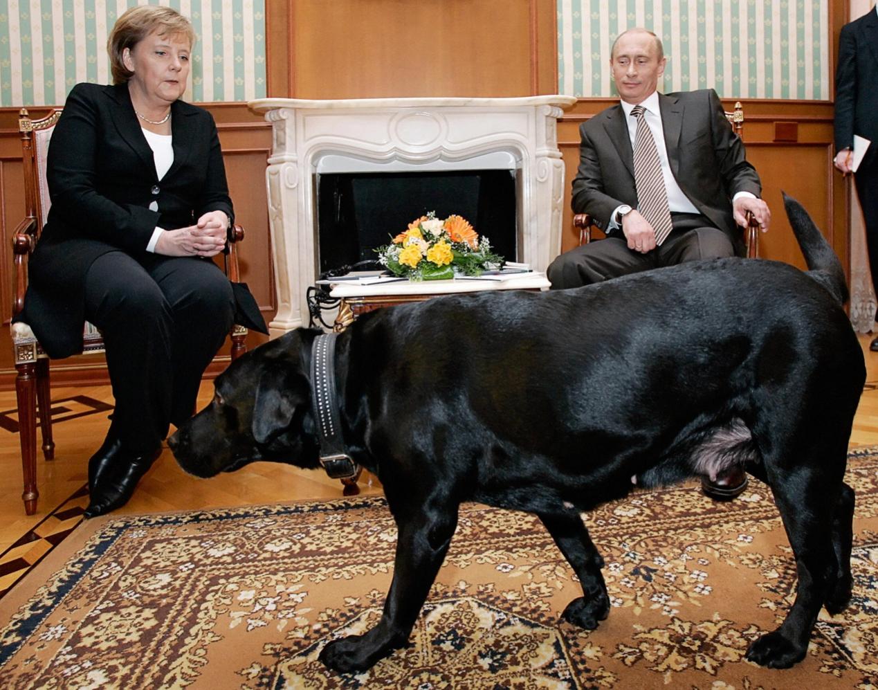 2007年，默克尔首次以总理身份访问莫斯科，收到了普京送的一条狗。《纽约时报》报道称，普京此前已经被告知，在十年前被狗咬伤后，默克尔一直对狗“感到不安”。