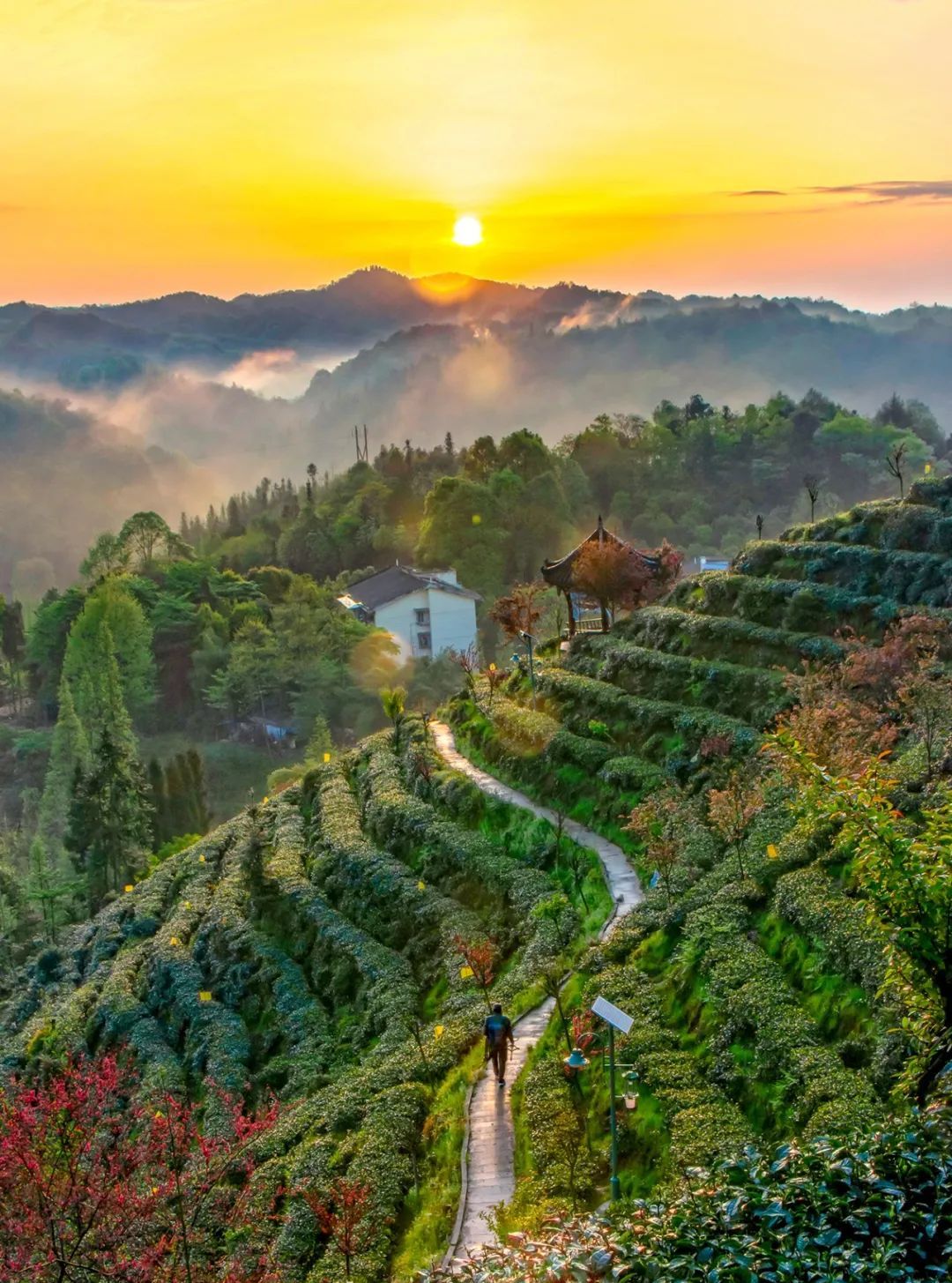 都江堰风景美如画茶溪谷深度旅游攻略来啦