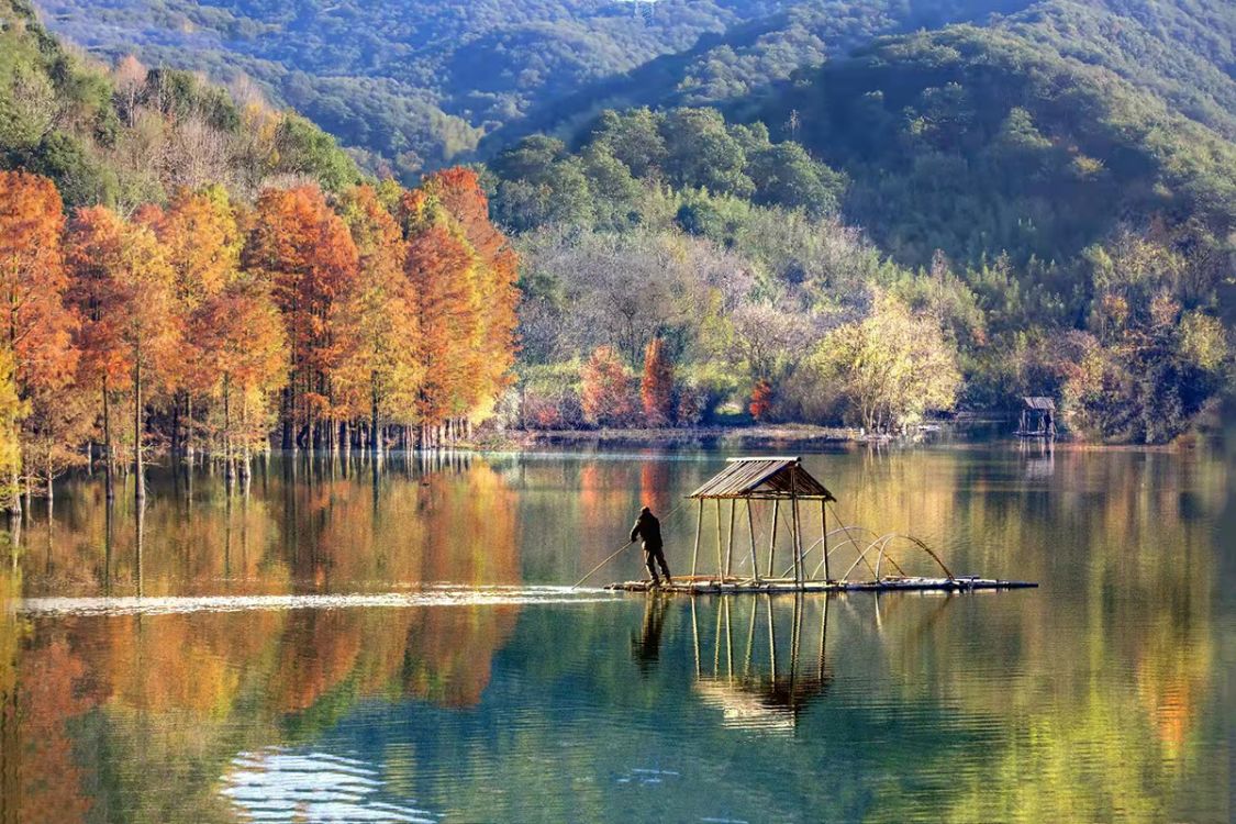 上虞最美红杉林石井水库一衣带水