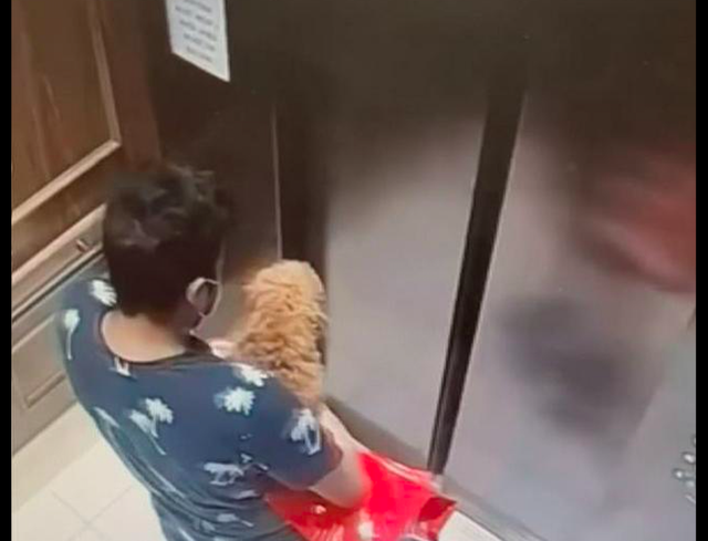 外卖员送餐时竟偷走了顾客的狗，被抓获时还狡辩，其实是预谋已久休闲区蓝鸢梦想 - Www.slyday.coM