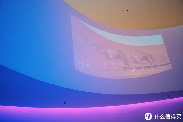 国内高颜值的小众温泉酒店，这家得有姓名！休闲区蓝鸢梦想 - Www.slyday.coM