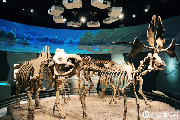 国内高颜值的小众温泉酒店，这家得有姓名！休闲区蓝鸢梦想 - Www.slyday.coM