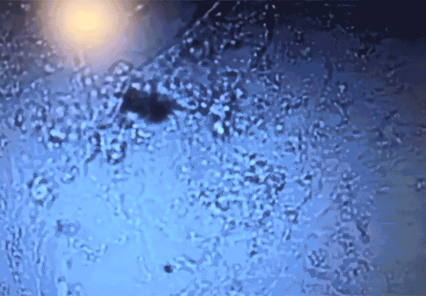 “天宫课堂”第一课，精华来了休闲区蓝鸢梦想 - Www.slyday.coM