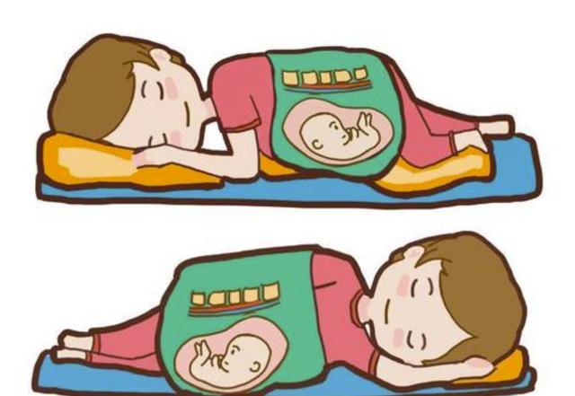 孕妇只能左侧睡觉?