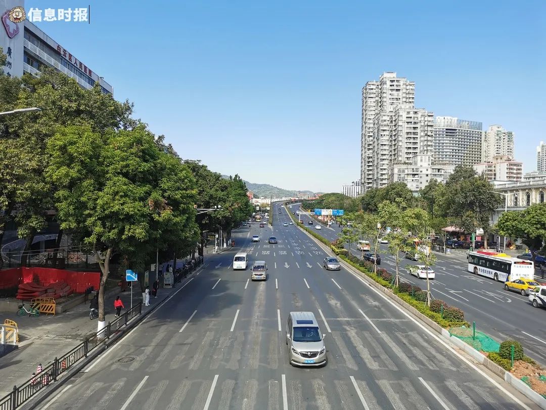 广州大道.信息时报记者 李丹 摄