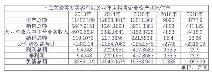上海文峰美容美发有限公司年度报告企业资产状况信息&nbsp;天眼查截图
