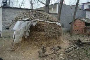 千万粉丝的“糙版李子柒”张同学，被中国消防点名了休闲区蓝鸢梦想 - Www.slyday.coM