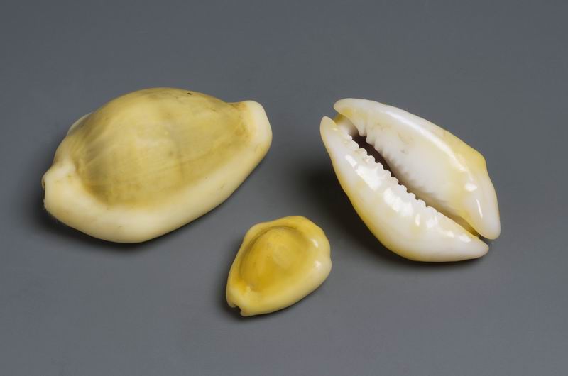 人海之间|"海贝之岛"马尔代夫|马尔代夫_新浪财经_新浪网