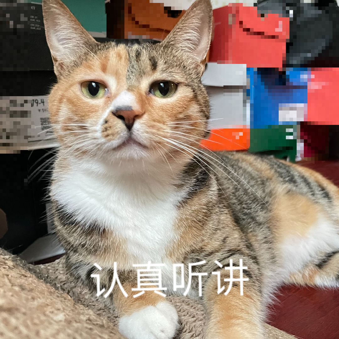 明确！2022年浙江省考延期！考研会有影响吗？休闲区蓝鸢梦想 - Www.slyday.coM