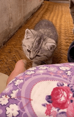 有千万粉丝的张同学，被中国消防点名了！休闲区蓝鸢梦想 - Www.slyday.coM