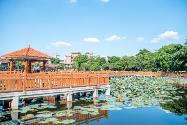 横沥镇村尾村获评广东省"民主法治示范村(社区)"