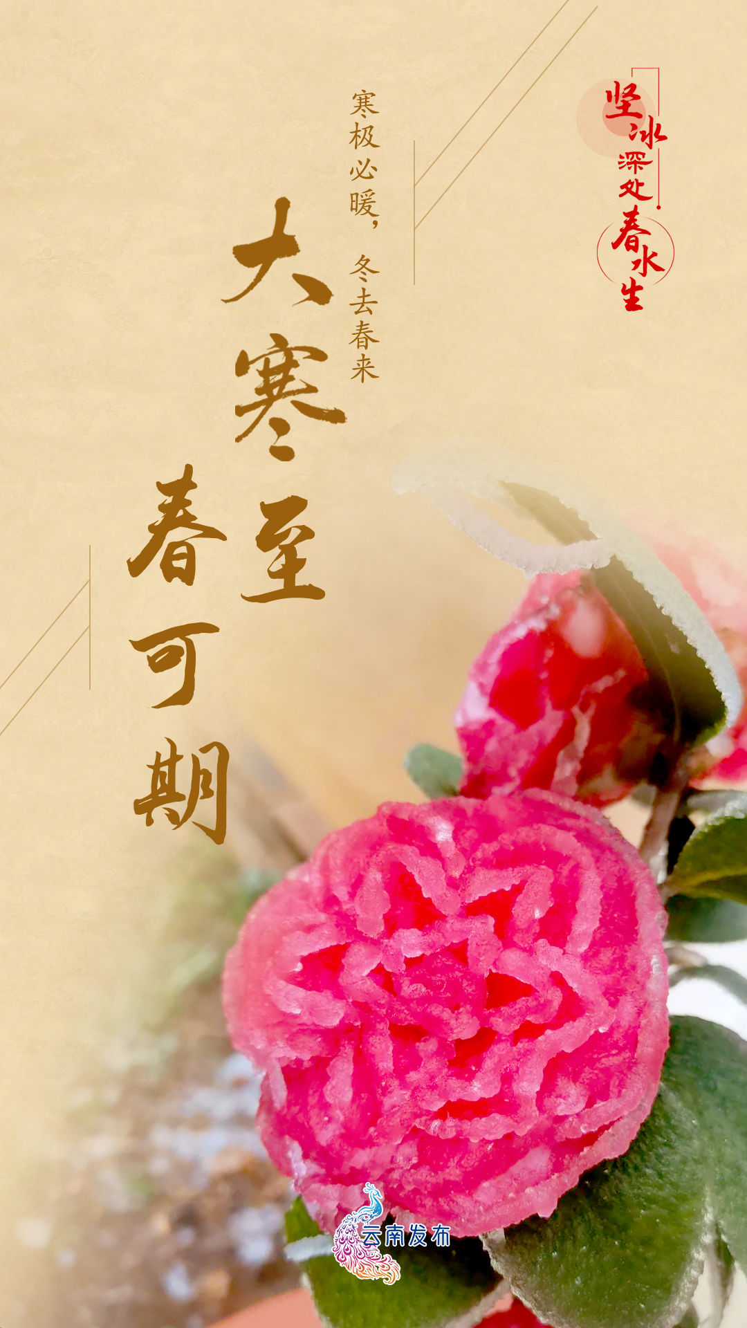 【大寒】冬将尽春可期 愿山河无恙人间皆安