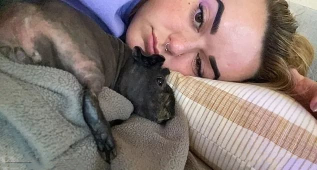 女子起床后发现刘海没了,瞄了一眼客厅:原来是你这只小可爱干的休闲区蓝鸢梦想 - Www.slyday.coM 女子起床后发现刘海没了,瞄了一眼客厅:原来是你这只小可爱干的休闲区蓝鸢梦想 - Www.slyday.coM