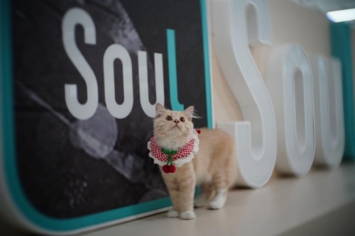 互联网工牌哪家强？Soul的这款超萌捏脸也太可爱了休闲区蓝鸢梦想 - Www.slyday.coM